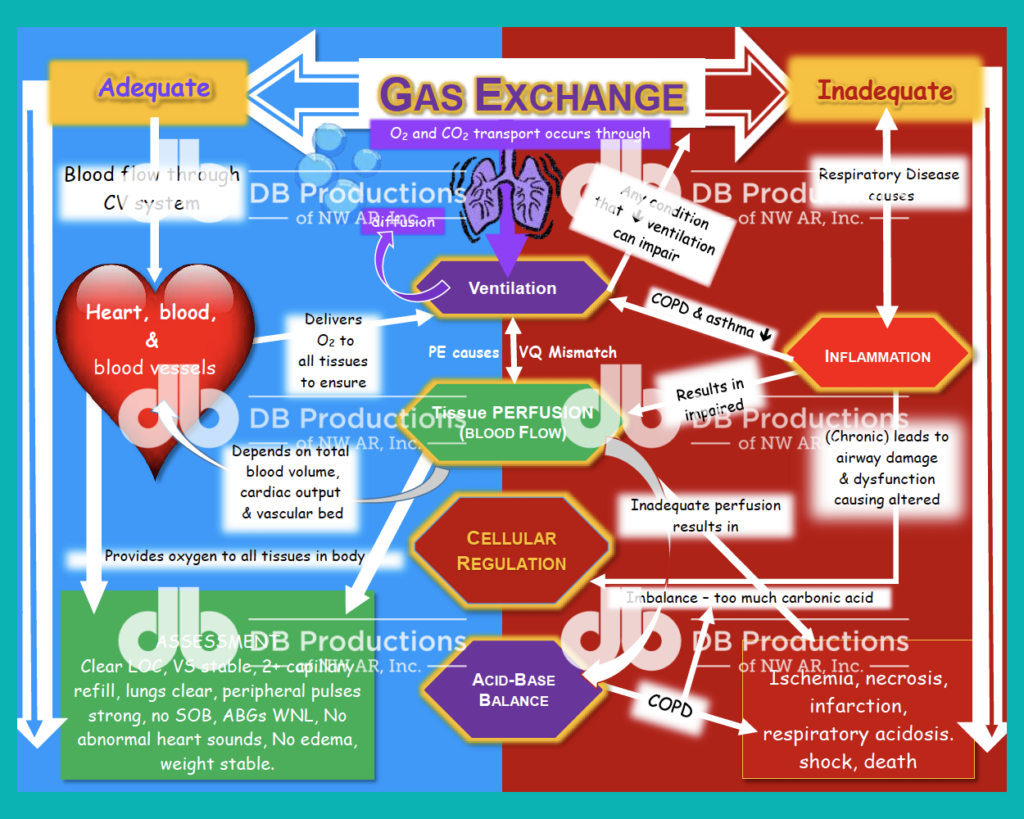 Vital Signs Concept Map  Deanne Blach - DB Productions