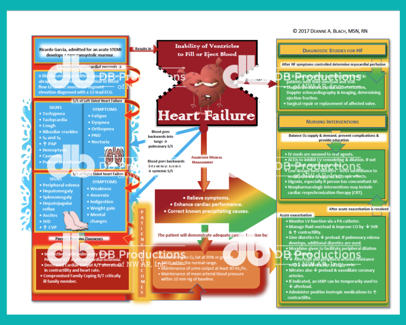 Heart Failure Concept Map | Deanne Blach - DB Productions